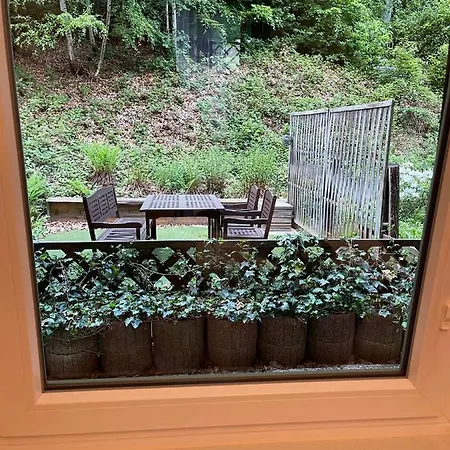 International 5 * Bad Harzburg